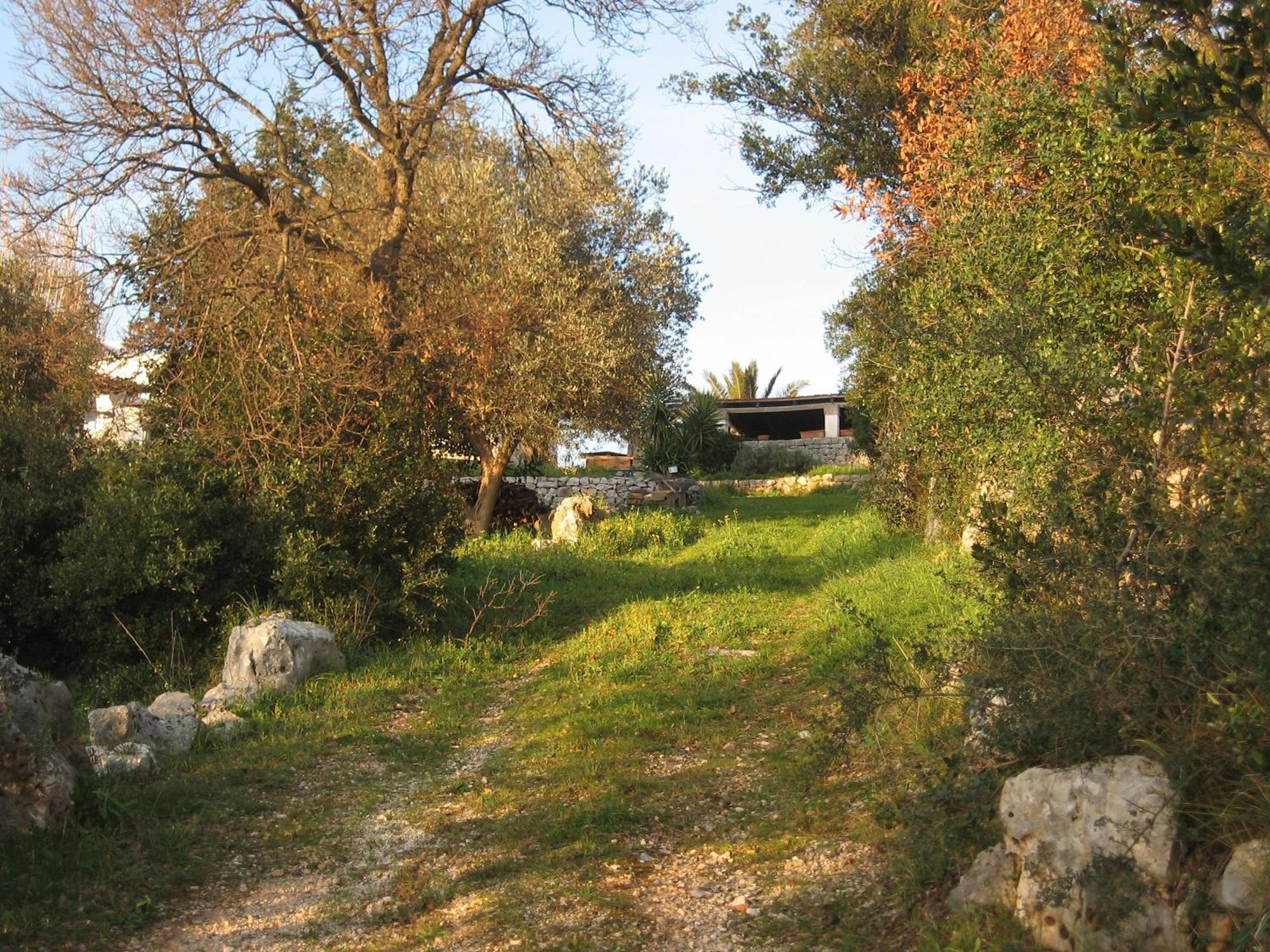 B&B Cinque Stalle Monopoli Exteriér fotografie